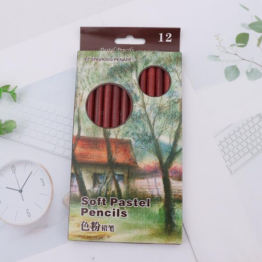 Lápices de colores Pastel de tono de piel, núcleo 4B de 5mm, lápices de colores para dibujo artístico, bocetos, retrato/tipo de paisaje, 12 colores