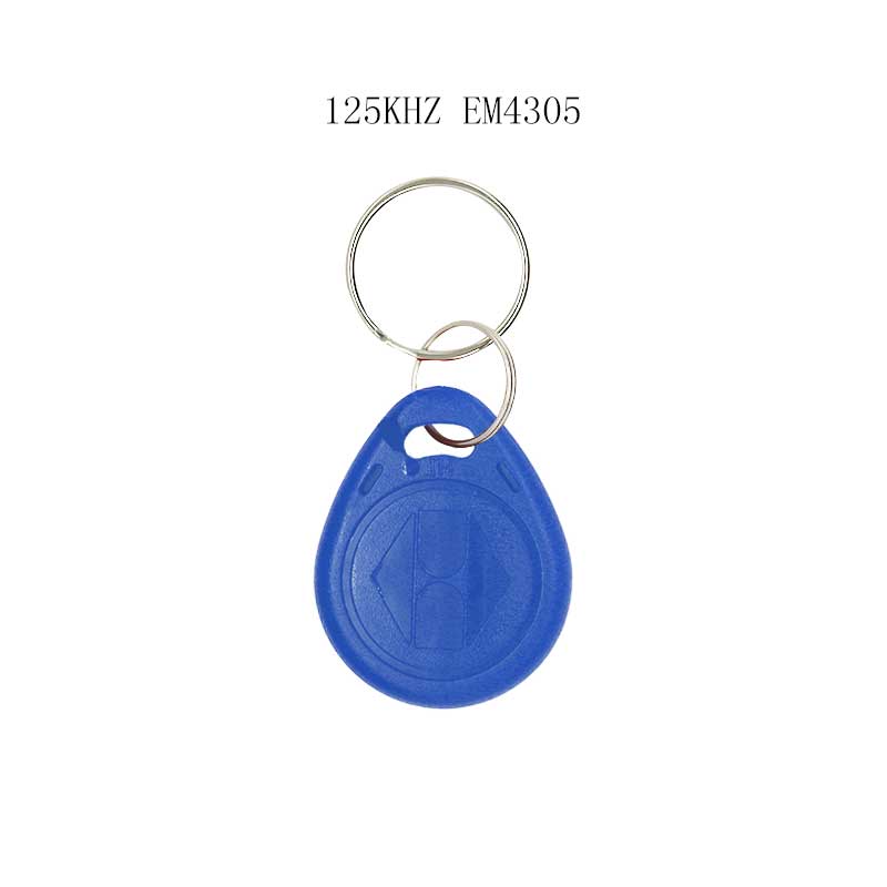 50/100Stck RFID 125KHZ Schild kopie wiederbeschreibbare schlüssel wiederholen löschen em4305 T5577 kette schlüssel Ring induktion Zeichen