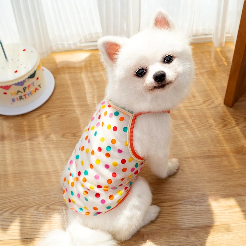 Chaleco refrescante para perros, camiseta de malla con estampado de fresa y puntos de verano, ropa para cachorros, disfraz de Chihuahua pequeño, tirantes para gatos 2025