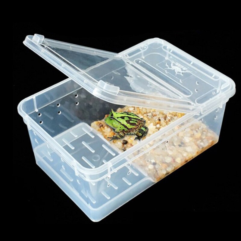 Reptile Tank Insect Spiders Tortoise Lizard Acrylic Transparent Breeding Box Vivarium Lid Reptile Pet Product Terrarium