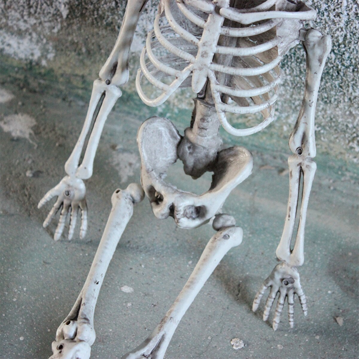 Halloween Menselijk Skelet Model Anatomie Skelet Schedel Partij Decoratie Anatomisch Skelet Horror Art Schets