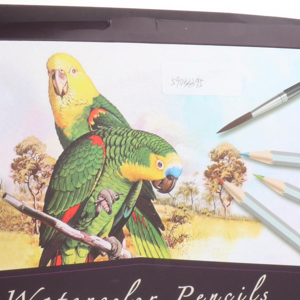 Watercolour Artist Pencils For Drawing Painting Sketching Art Water Colour