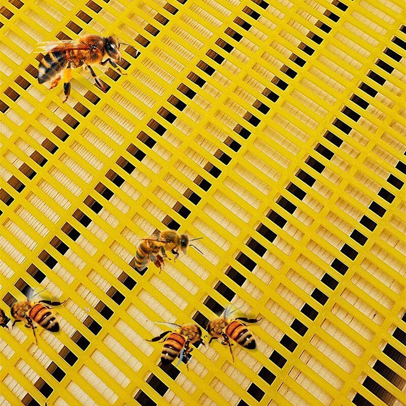 Plastic Beekeeping Queen Excluder to Keep Queen Separate From Honey Boxes in a Bee Hive