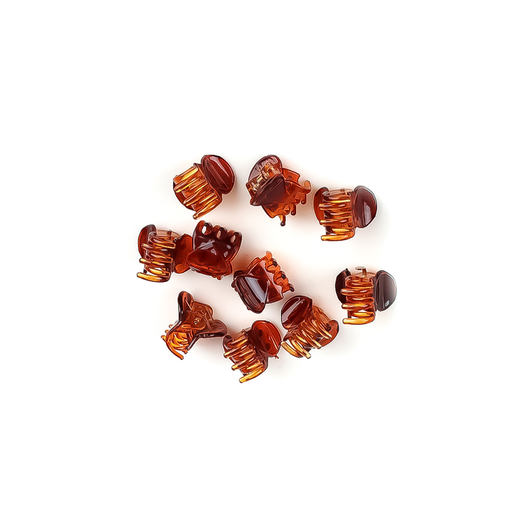 10pcs/set Small Hair Claw Clips for Women Girls Black Brown Transparent Plastic Mini Claws Hairclip Clamp Kid Hair Accessories: XS / Chocolate