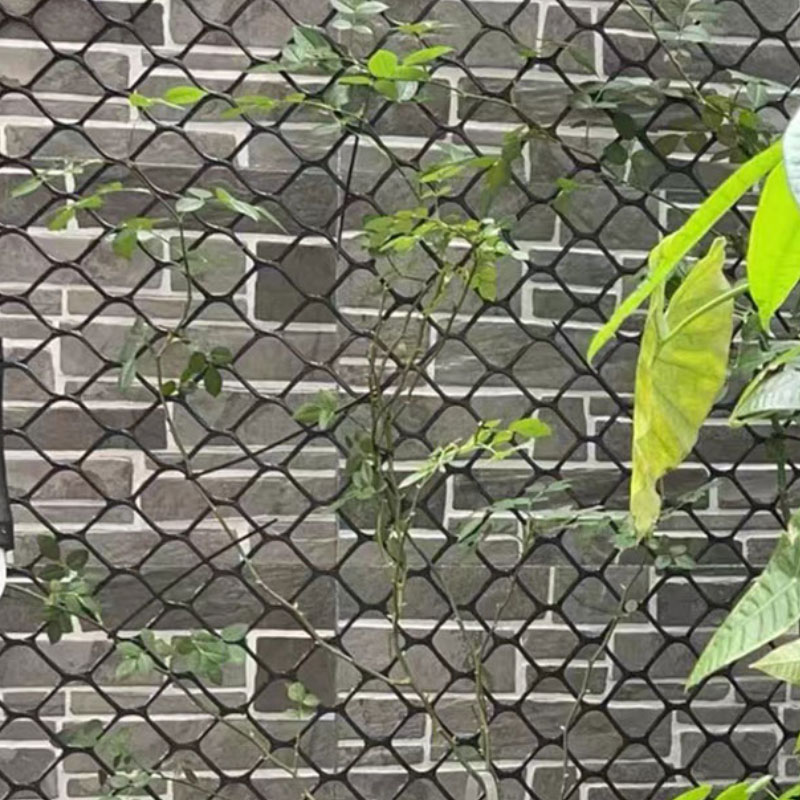 1 metri x 16/40 "5cm foro verde balcone guardrail agricoltura recinzione isolamento HDPE rete di plastica rete da giardino griglia per animali domestici pollo gatto