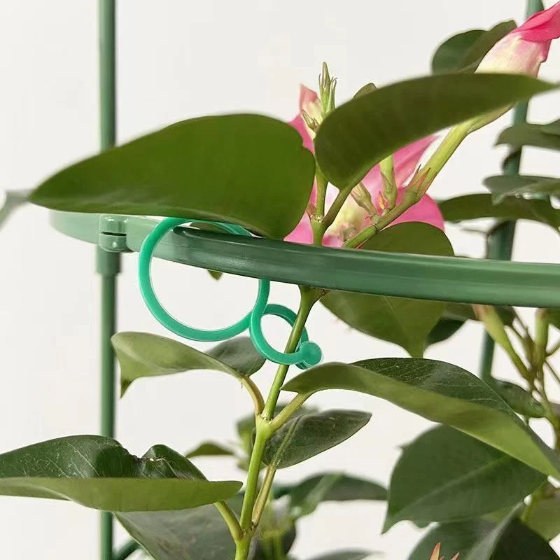 Clips para plantas de jardín para cultivo de verduras, soporte vertical para plantas, anillo incluido de plástico verde, herramienta de soporte para jardín, soporte para vid, 50/100 Uds.