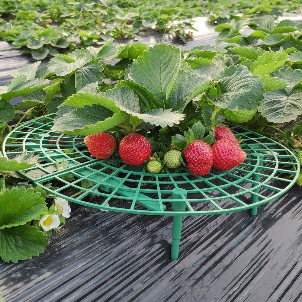 1/3/5 stk jordbær stativ rammeholder balkong plantestativ frukt støtteplante blomst klatring vintre søyle hagearbeid stativ