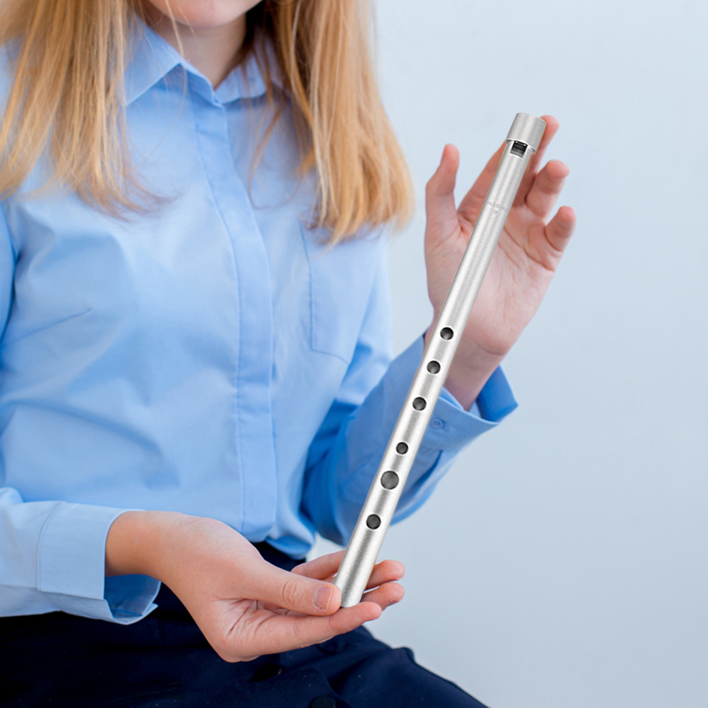 Irish Whistle Traditional Tin Penny Whistle C/D Key 6 Holes Flute Wind Music Instrument for Beginners