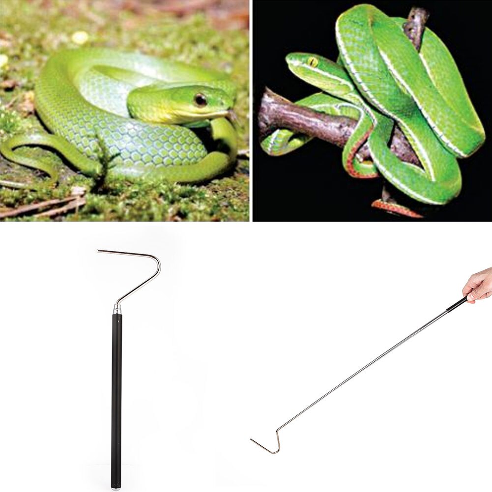 Trap Tong Catching Tools Tool Long Handle Tongs Hook Stainless Steel Adjustable Snake Hook for 1 Pcs Catch Snakes Reptile