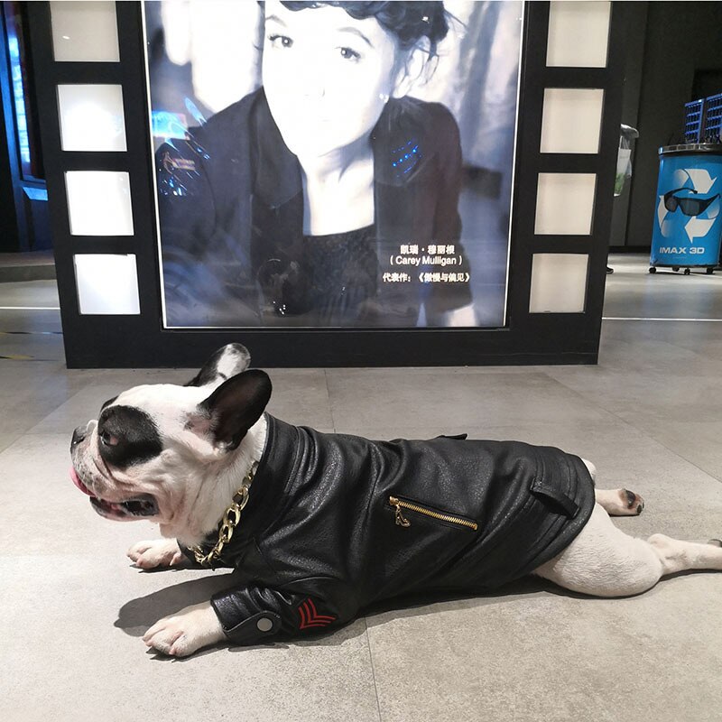 Vinter vindtæt hundefrakke jakke fransk bulldog kæledyrstøj varmt pu læder hundetøj til små store hunde hvalpe kæledyrstøj