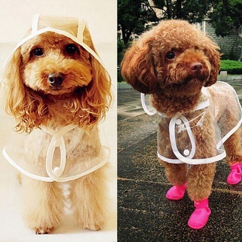 Poncho imperméable pour chien, manteau de pluie réfléchissant, vestes imperméables à capuche, vêtements d'extérieur, fournitures pour animaux de compagnie