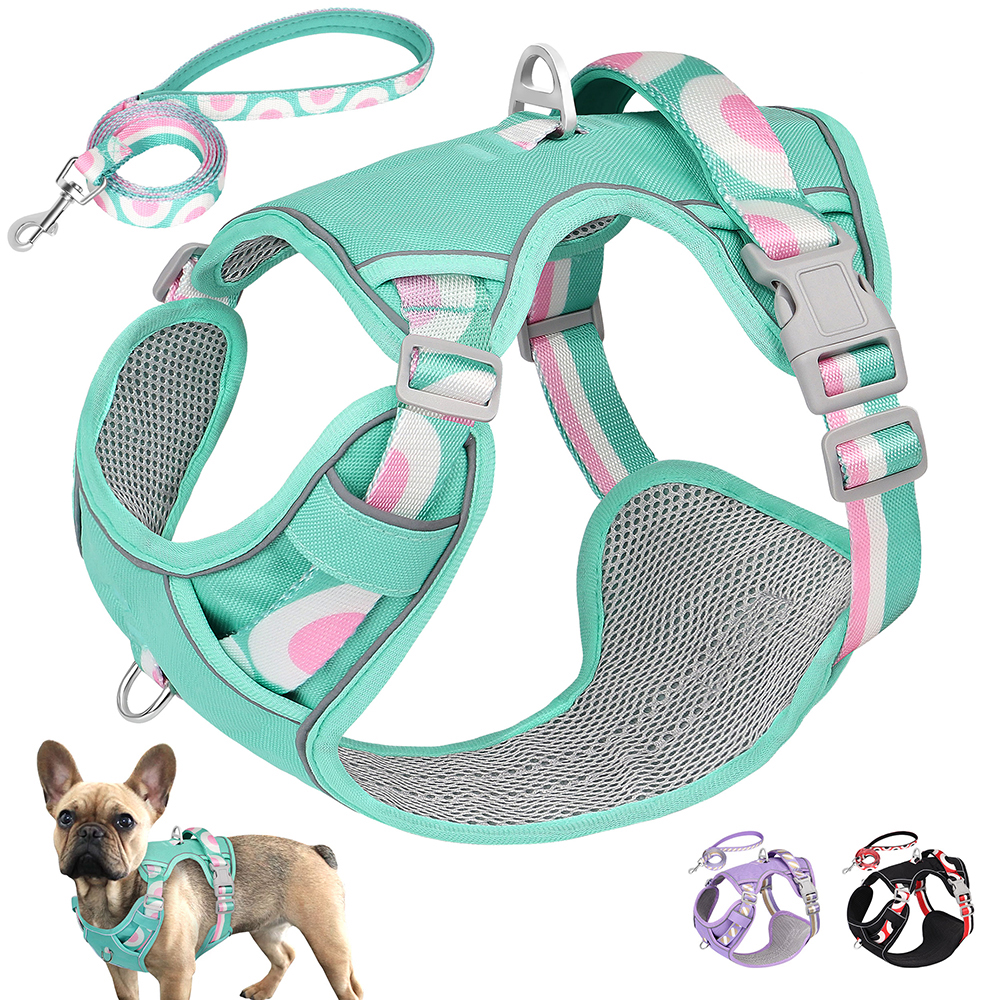 Laisse en nylon réglable pour chiens, ensemble de laisse SFP Casting, sans nervure, poignée de commande, laisse pour animaux de compagnie pour chiens moyens et grands