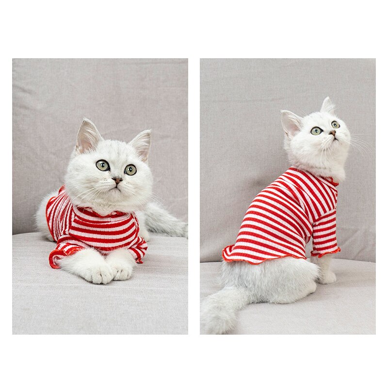 Huisdier Zomer Kleding Regenboog Serie Kleine Honden Dnd Katten Kleding Comfortabele Gebreide Trui Pet Lente En Zomer Kleren: Red / L