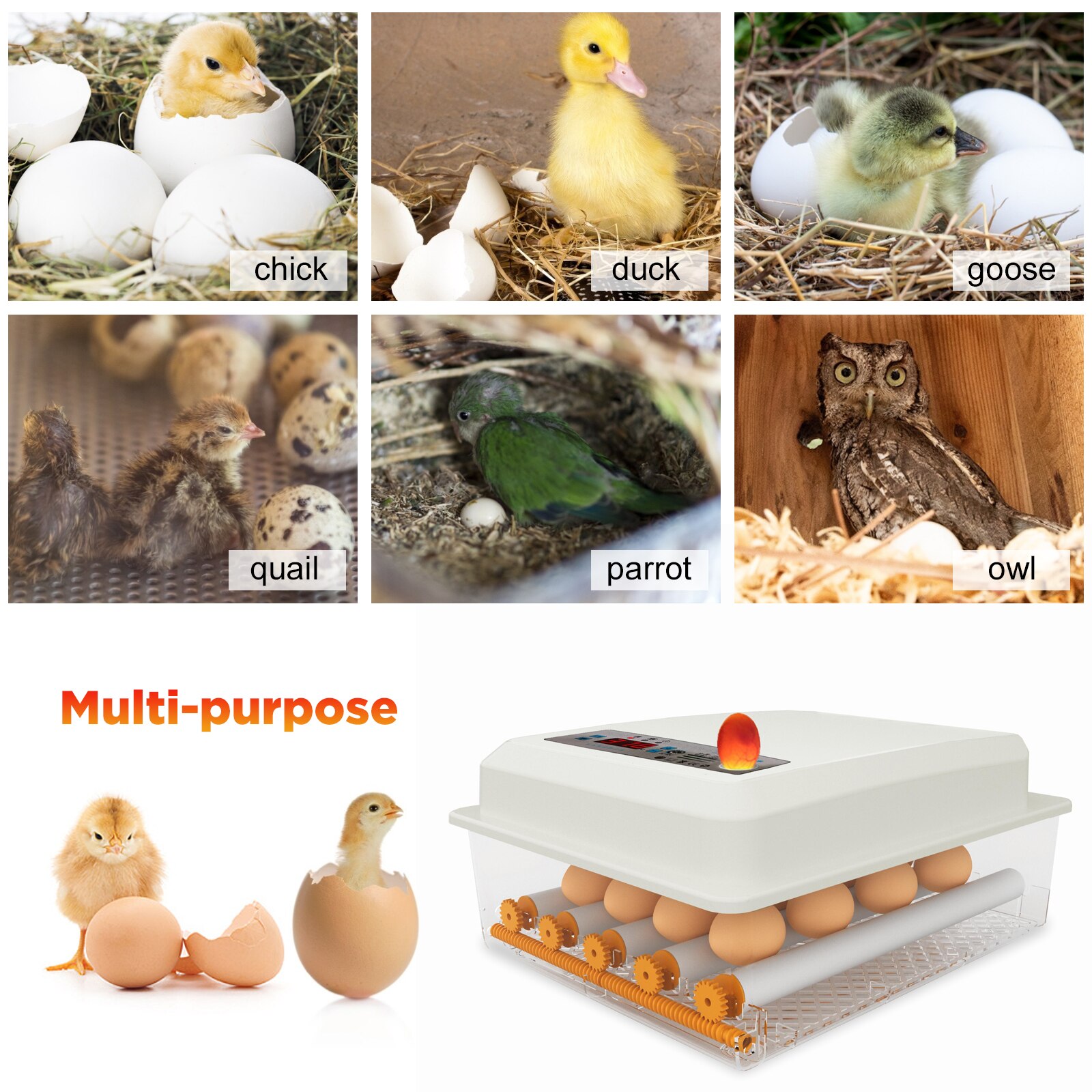 16 Egg Automatic Incubator Brooder 110V/220V DC12V Digital Mini Brooder Machine with Turner Hatcher Chicken Incubation Equipment