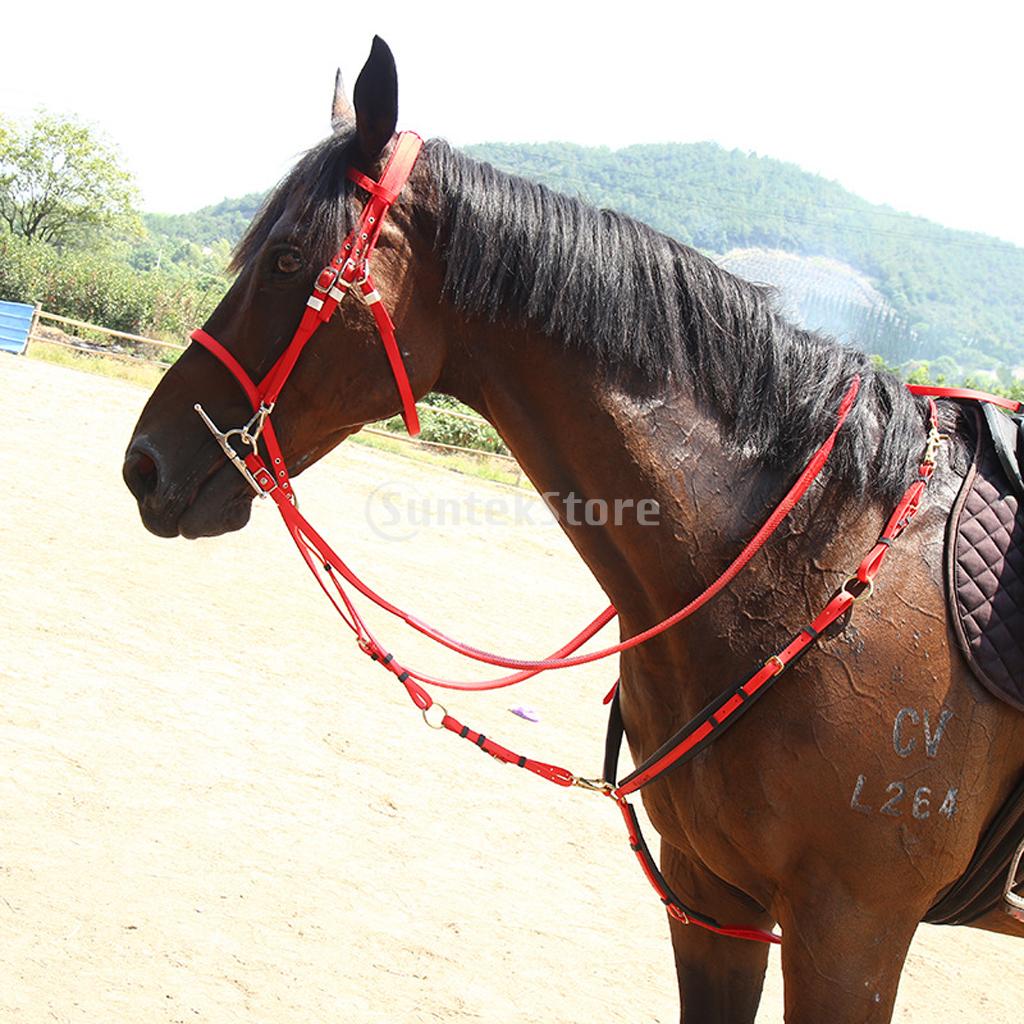 Equestrian Sports Horse Riding Bridle + Reins & Set Fits 1.4m and more than 1.4m Height Horse
