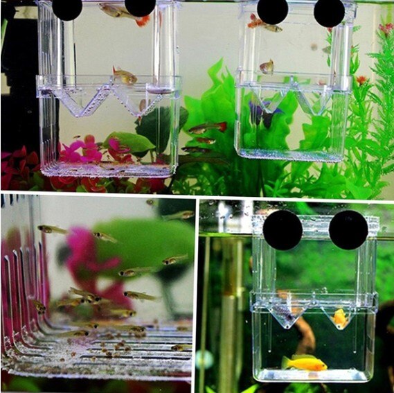 Tanque de peces para bebés, aislamiento Betta, fry, ovipositor, peces tropicales, caja incubadora acrílica