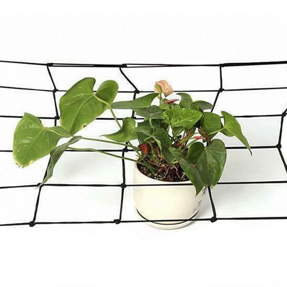 80*80cm Elastic Rubber Growing Tent Garden Trellis Net Support for Vegetable Climbing Vine Plants Garden Flower Plant Netting