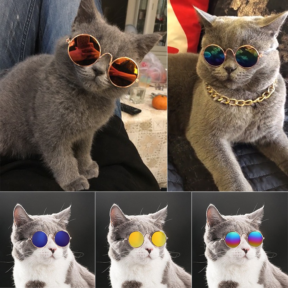 Gafas para gatos y mascotas adorables, gafas para perros, productos para mascotas para perrito gato, gafas de sol para perros, accesorios para mascotas