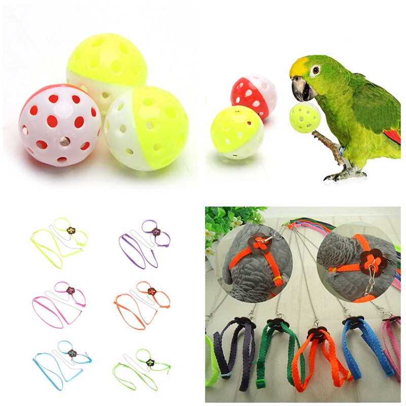 Papegaai vogelriem buiten verstelbaar harnas trainingstouw anti-bijtband: Twee