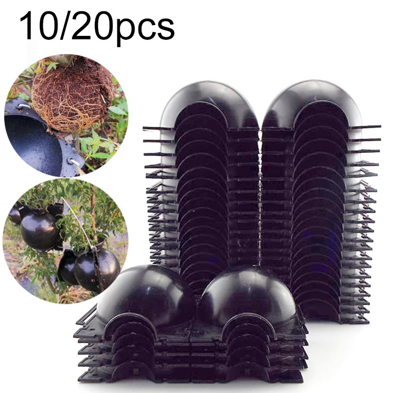 Tree Root Box Fruit Plant tree Rooting Ball Root box plastic cas... – Vicedeal