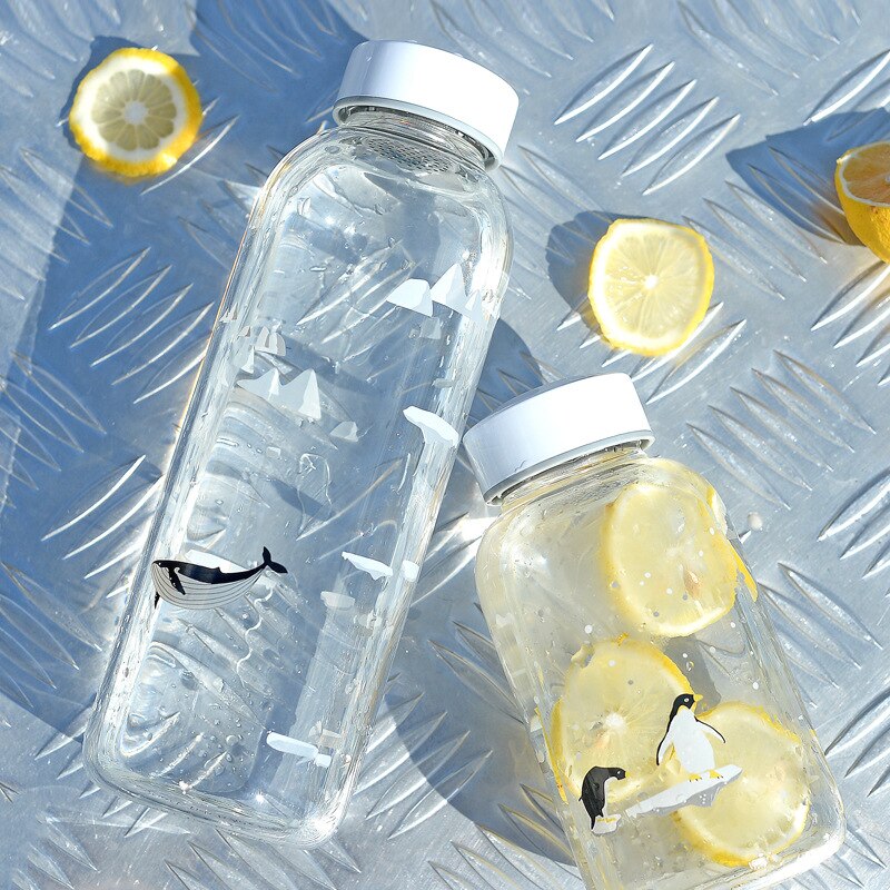 1000ml glazen waterflessen met filter, oceaan walvis zeehond met hoes, sportflessen, kampeerfles, tour drinkgerei borstel
