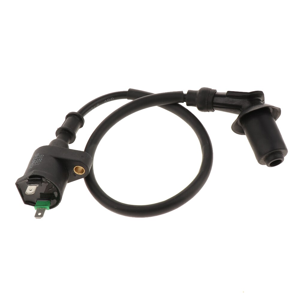 GOOFIT Bobina Statore Magnetico 8 Poli 5 Fili Per GY6 125cc 150cc ATV Scooter Taotao - Ricambio Accensione