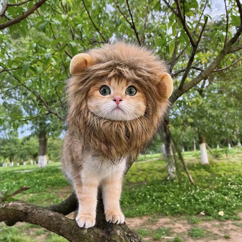Leuke Grappige Huisdieren Kleding Cap Leuke Kat Pruik Lion Manen Kostuum Cosplay Kitten Hond Hoed met Oren Fancy Feestartikelen