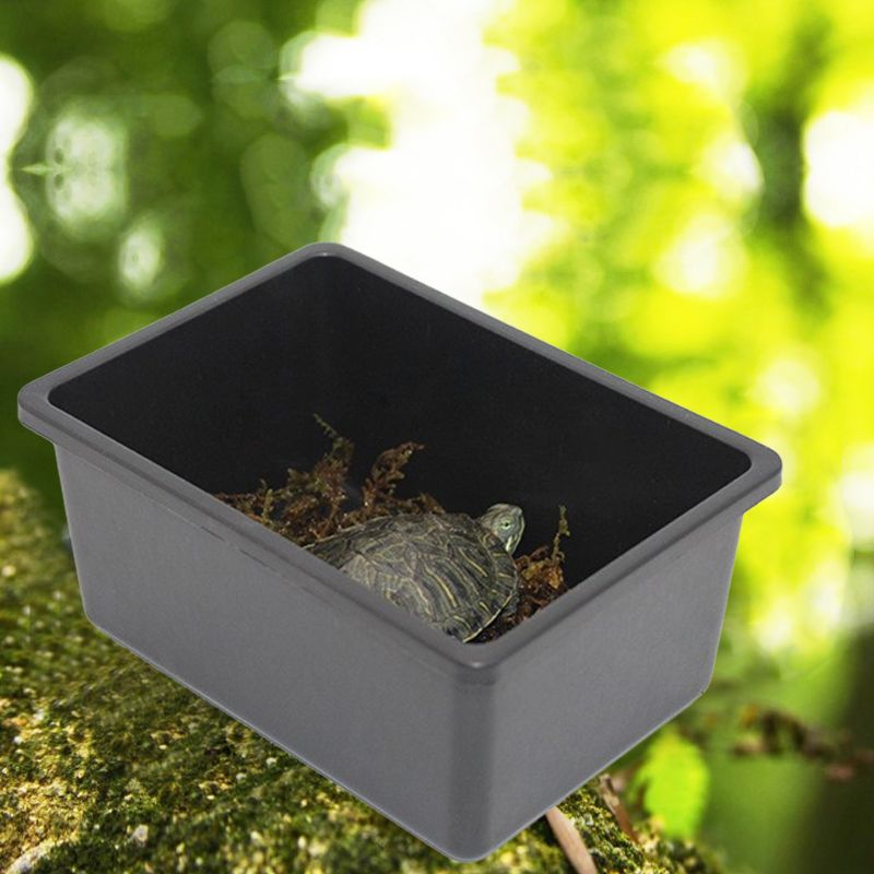 Reptile Feeder Plastic Case Feeding Breathable Grid For Turtle Lizard Snake Cage