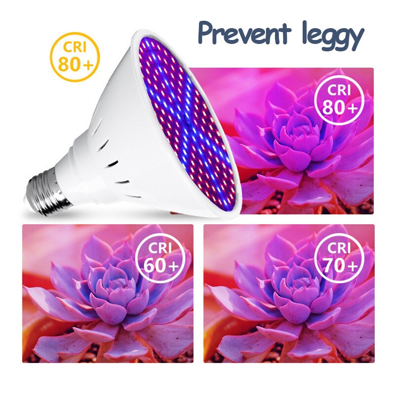 Luz Led para cultivo de plantas led de plástico para plantas, 200 cuentas, foco para plantas, Bombilla para interior, luz de relleno suculenta