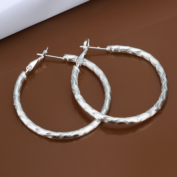 925 sterling zilveren oorbellen, 925 zilveren sieraden cirkel hoepel Oorbellen voor vrouwen SE341