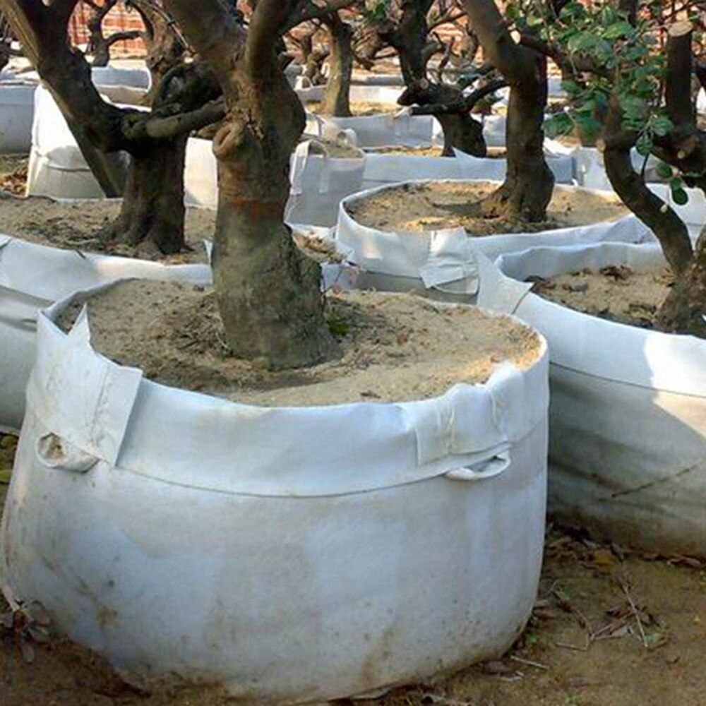 Bolsa redonda de tela blanca para planta de macetas, contenedor de raíces, bolsa de cultivo, contenedor de aireación, 7 tamaños, en oferta
