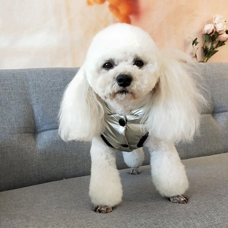 Wasserdicht Haustier Kleidung warm Hund Kleidung Jacke Französisch Bulldogge Mit Kapuze Mantel Welpen Katze Haustier Jacke Mantel Für Kleine Hunde Chihuahua