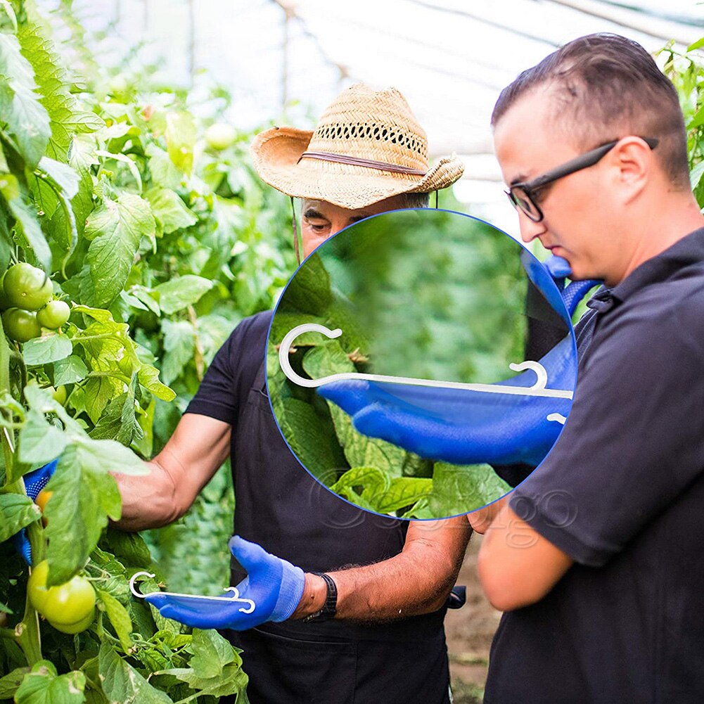 100Pcs J Vormige Fruit Cherry Tomaat Oorhaak Tuin Bloem Groente Plant Ondersteuning Tomaat Clips Trellis Voor Tuin Plant bloem