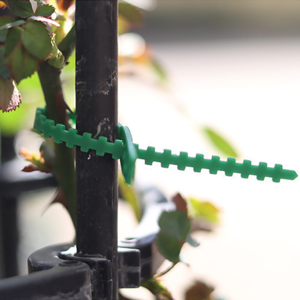 Groene Tuin Twistties Veelzijdige Plastic Banden Boom Klimmen Ondersteuning Tuin 2