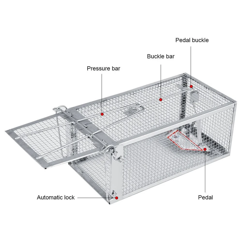 Live Humane Cage Trap for Squirrel Mouse Rat Mice Rodent Animal Catcher for Indoor and Outdoor Small Animal
