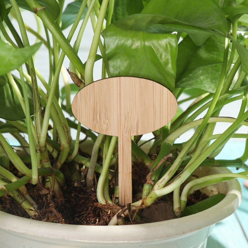 Plant Tags Bamboe Plant Markers Kwekerij Labels T Type Plant Markers Bonsai Label Tuin Bloemen Gereedschappen Plant Label 10 stuks
