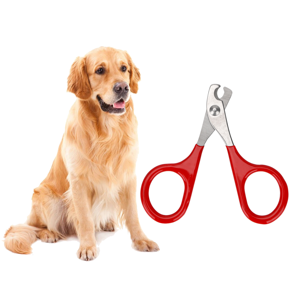 Cortauñas para cuidado de mascotas, herramientas de limpieza para gatos, tijeras para perros, productos para mascotas
