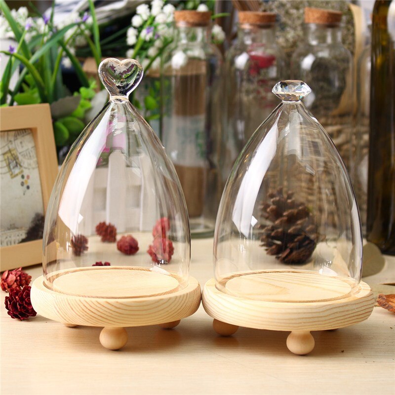 KiWarm Glass Display Cloche Bell Jar Dome Flower Immortal Preservation Vase Wooden Base Home Decor Ornament