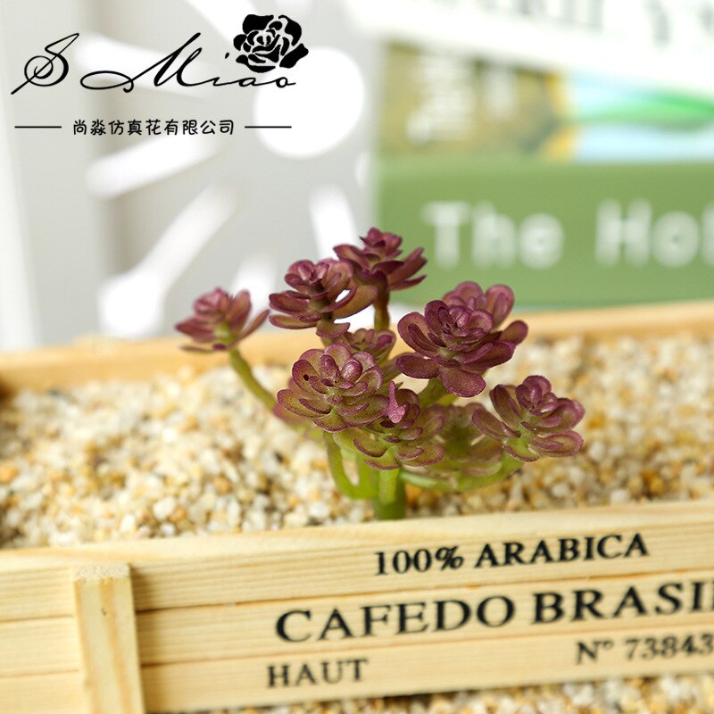 Sztuczna flokowana sukulenty DIY robić przydomowego ogrodu biuro dekoracje ślubne mini bonsai Plante wesele roślina dekoracyjna: xianrenke purpurowy