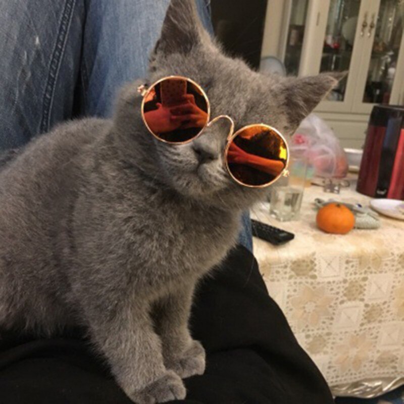 Katze Kleine Hund Spielzeug Auge-Sonnenbrille Tragen Fotos Requisiten Haustier Katze Gläser Hund Brille Stroh Hütte einstellen Haustier Katze zubehör