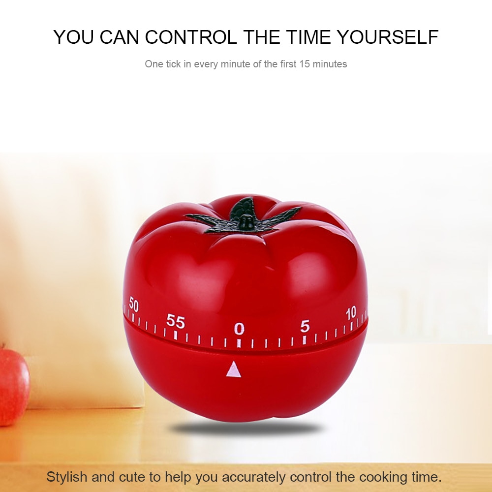 Timer Magnet Kitchen Stainless Steel Mechanical Kitchen Timer Magnet Ro... – Grandado