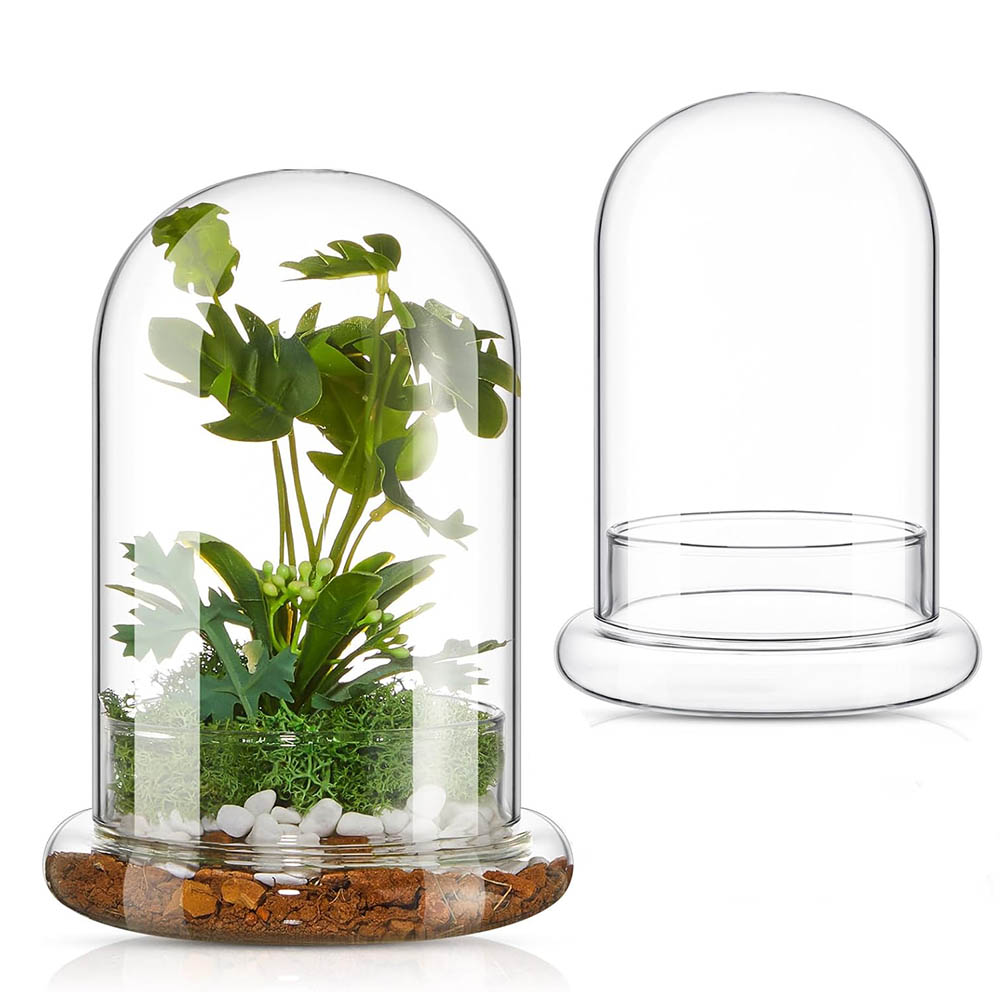 Cúpula de vidrio con orificio de aire, campana de cristal con Base, exhibición de mesa para el hogar, contenedor de terrario transparente para plantas, terrario