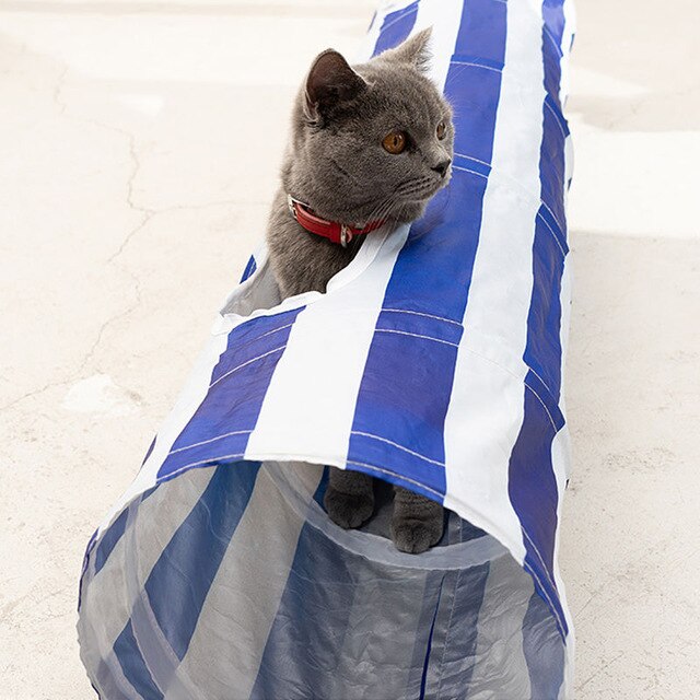 Cat Toys Funny Cat Striped/Flower Print Cat Tunnel Foldable Cat Tube Kitty Training Toys Cat Accessories Pet Supplies: Blue