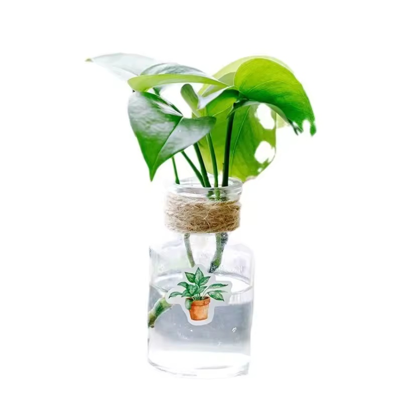 45 buc autocolante autoadezive cu plante verzi, albume foto, felicitări, etichete, obiecte decorative, autocolante decorative de etanșare