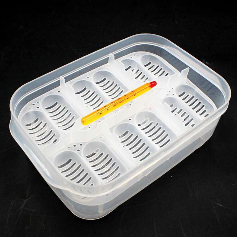 1pc Lizards Pets Breeding Isolation Box Reptile Incubator Hatching Box with