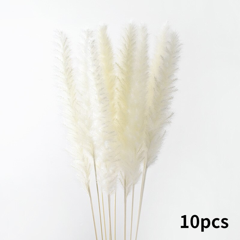 10Pcs Dry Dried Small Pampas Grass Flowers Pantas Artificiales Para Decoracion Real Plants Home Decor Wedding Decoration: white
