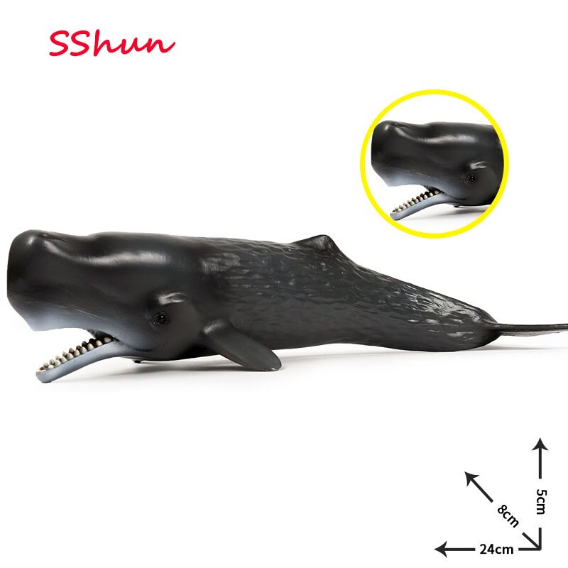 24*8*5CM Children Cognitive Simulation Solid Sperm Whale Marine Life Animal Toy Plastic Static Model: Default Title