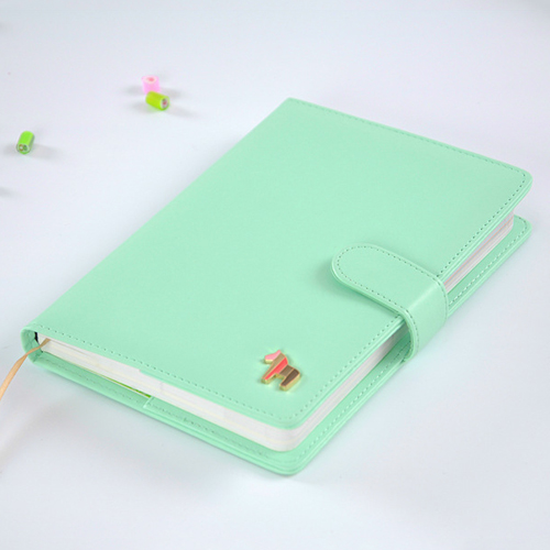 Carnet planificateur hebdomadaire doux sans limite d&#39;année, planificateur agenda pour étudiant, livre Pages en couleur, , fournitures scolaires,: Green