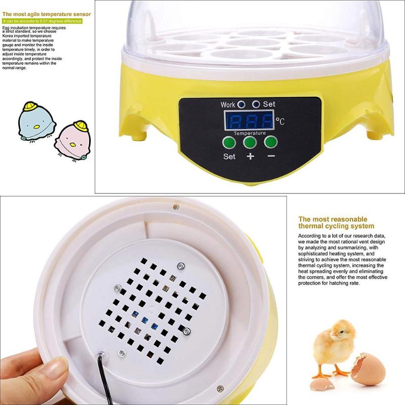 Incubadora de 7 huevos para aves, máquina automática para incubar huevos de codorniz inteligente, loro, suministros de granja, para niños