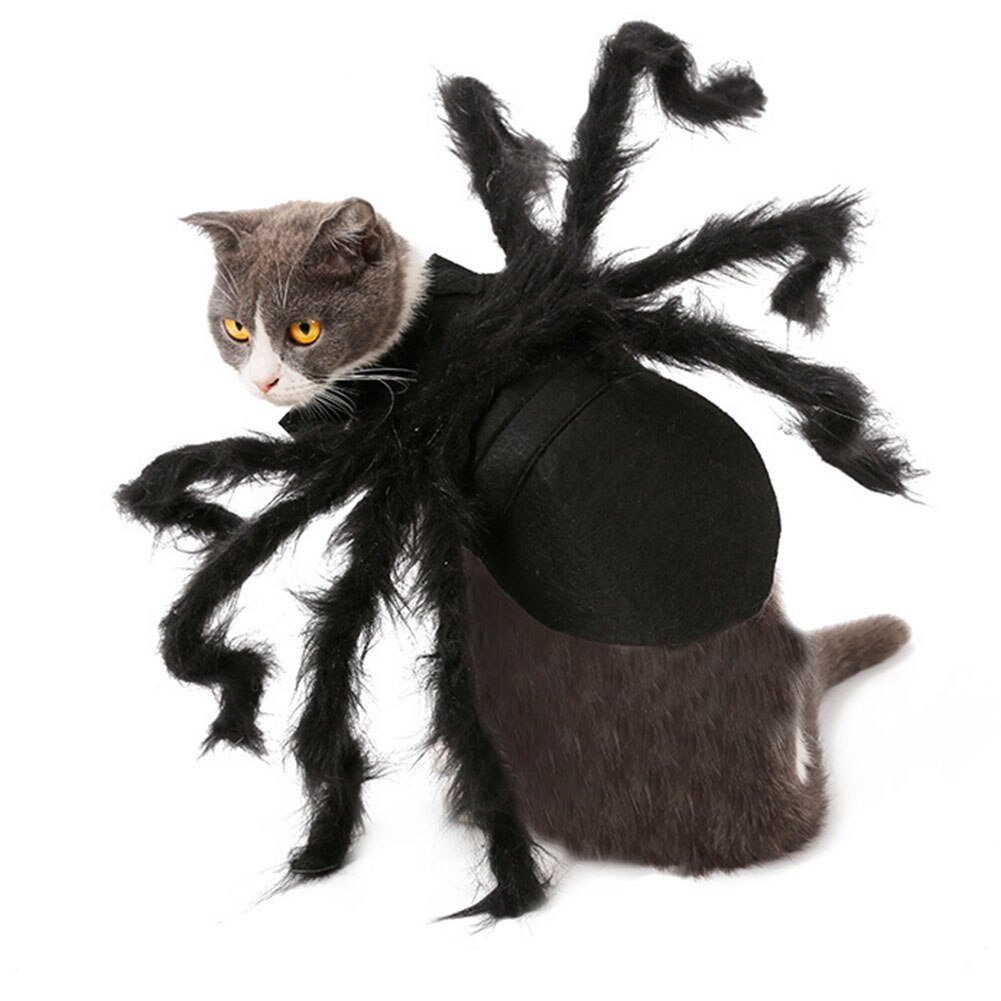 Animal de compagnie chien chat chauve-souris aile araignée Cosplay accessoire Halloween chauve-souris déguisement à capuche Costume tenue ailes belle décoration de noël vêtements